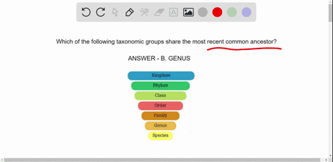 which-of-the-following-taxonomic-levels-contains-organisms-that-share-the-most-recent-common-ances-2