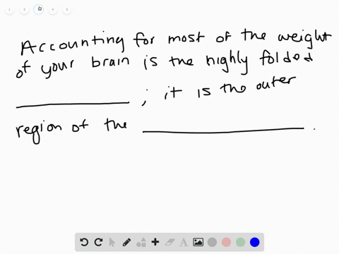 fill-in-the-blanks-to-match-some-brain-structures-with-their-associated-functions-a-if-the-______-is