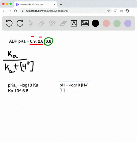 do-the-calculation-showing-that-at-ph-74-a-the-charge-on-adp-is-28-b-the-charge-on-the-alkyl-phospha