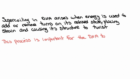 how-does-supercoiling-arise-what-is-the-difference-between-positive-and-negative-supercoiling-3