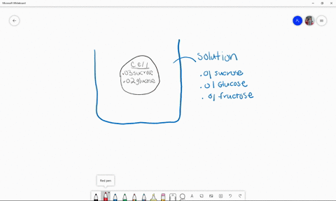 an-artificial-cell-consisting-of-an-aqueous-solution-enclosed-in-a-selectively-permeable-membrane--2
