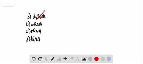 which-of-the-following-types-of-rna-codes-for-a-protein-a-dsrna-b-mrna-c-rrna-d-trna-d-trna