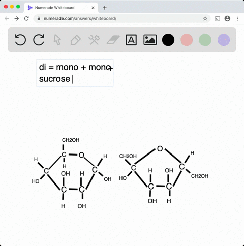 what-is-a-disaccharide-what-monosaccharide-units-make-up-the-disaccharide-sucrose-what-is-the-bond-c
