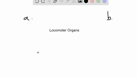 which-of-these-locomotor-organs-would-likely-be-the-shortest-a-a-flagellum-b-a-cilium-c-an-extended-