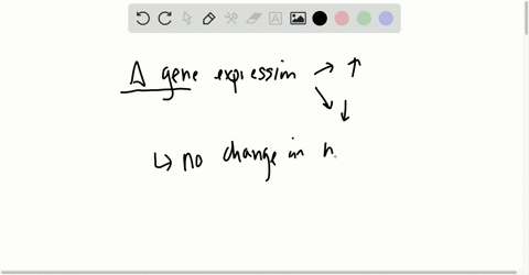 what-are-epigenetic-changes-and-how-are-they-brought-about