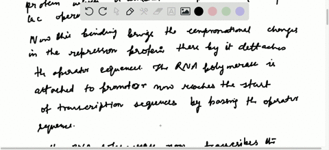 describe-the-molecular-events-that-occur-at-the-lac-operon-when-e-coli-cells-are-shifted-from-a-gluc