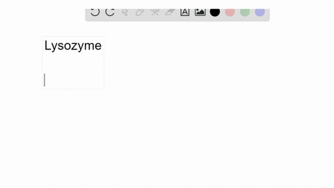 lysozyme-an-enzyme-found-in-human-saliva-tears-and-other-secretions-catalyzes-the-hydrolysis-of-th-2