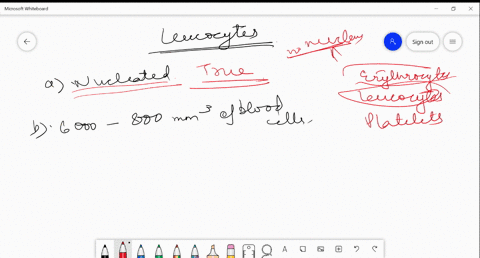 which-of-the-following-is-an-incorrect-statement-about-leucocytes-a-they-are-nucleated-b-they-are-ap