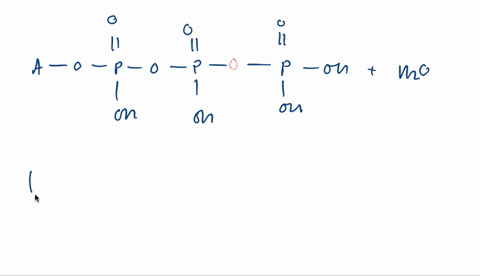 the-cleavage-of-atp-adenosine-triphosphate-to-adp-adenosine-diphosphate-and-mathrmh_3-mathrmpo_4-may