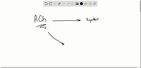 what-benefit-is-it-to-an-organism-to-have-two-different-enzymes-for-the-synthesis-and-breakdown-of-3