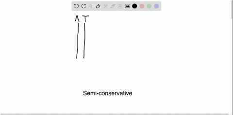dna-replication-is-said-to-be-semiconservative-because-a-each-new-dna-molecule-contains-one-new-stra