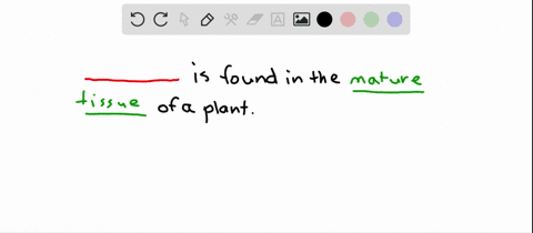 which-of-the-following-cell-types-are-alive-in-mature-tissue-choose-all-that-apply-a-collenchyma-c-2