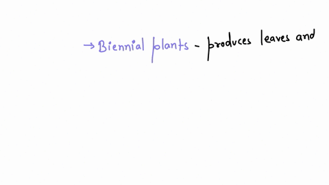 which-of-the-following-is-true-for-biennial-plants-a-they-produce-leaves-and-store-nutrients-in-thei