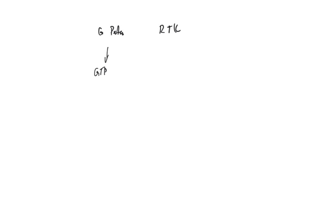 solved-what-is-the-difference-between-a-g-protein-and-a-receptor