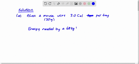 smaller-mammals-use-proportionately-more-energy-than-larger-mammals-that-is-it-takes-more-energy-p-2