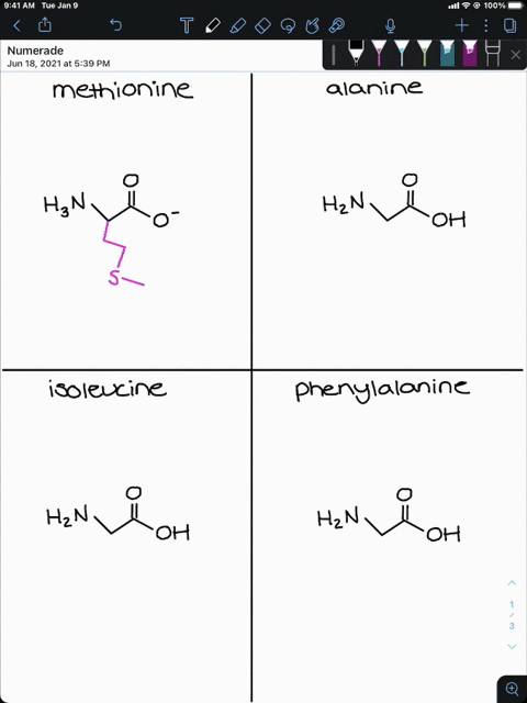 draw-the-structure-of-the-ionized-form-of-each-of-the-following-amino-acids-a-methionine-b-alanine-c