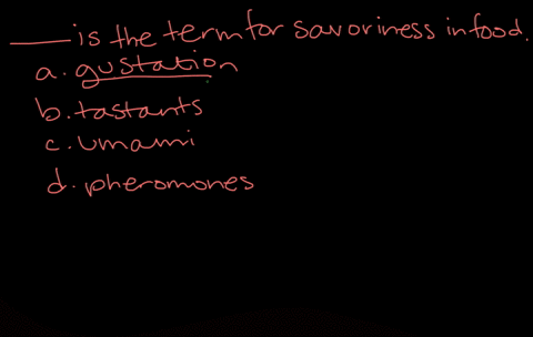 ____-is-the-term-for-savoriness-in-food-a-gustation-b-tastants-c-umami-d-pheromone