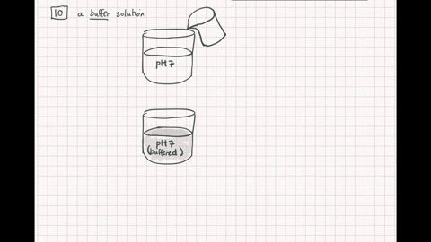 the-function-of-a-buffer-is-to-a-bring-the-ph-of-a-solution-to-neutral-b-speed-up-chemical-reactions