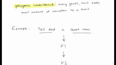 which-of-the-following-is-the-strongest-evidence-that-a-trait-might-be-influenced-by-polygenic-inher