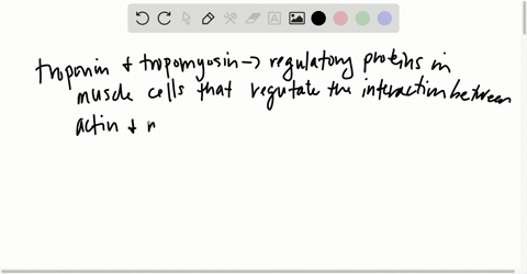 tropomyosins-are-proteins-that-mediate-the-interaction-of-actin-and-troponin-two-proteins-involved-i