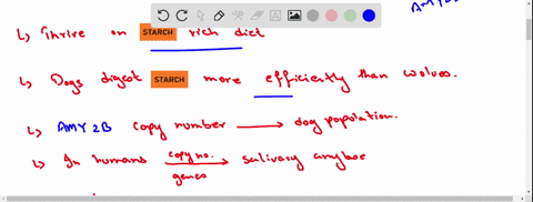 comparisons-of-wolf-and-dog-dna-reveal-that-dogs-have-4-to-30-amylase-genes-whereas-wolves-have-only