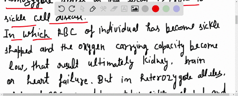 heterozygotes-at-the-sickle-cell-locus-produce-both-normal-and-abnormal-sickle-cell-hemoglobin-see-c