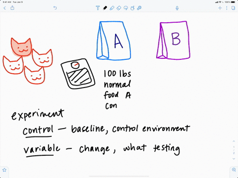 ideally-an-experimental-group-differs-from-a-control-group-a-only-with-respect-to-the-hypothesis-b-5