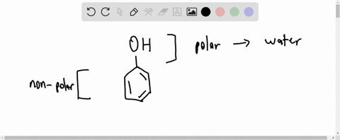 why-are-most-phenols-only-slightly-soluble-in-water