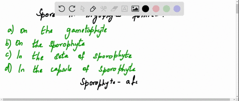 spore-in-bryophytes-are-formed-a-on-the-gametophyte-b-on-the-sporophyte-c-in-the-seta-of-sporophyte-