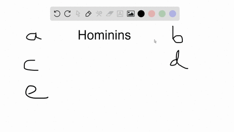 which-of-the-following-hominin-species-was-the-earliest-a-ardipithecus-ramidus-b-australopithecus-af