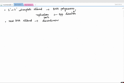 SOLVED:Describe the discontinuous synthesis of the lagging strand in ...