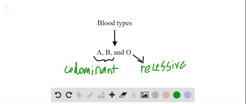 SOLVED:Refer To The Pedigree Below That Shows Inheritance Of Blood ...