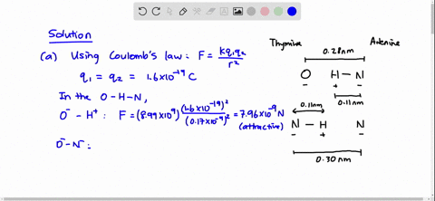the-two-sides-of-the-dna-double-helix-are-connected-by-pairs-of-bases-adenine-thymine-cytosine-and-2