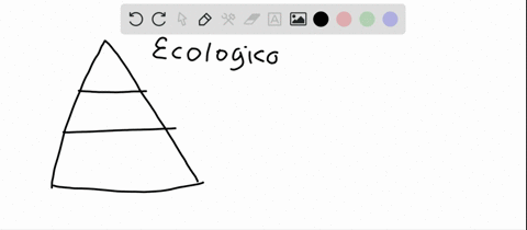 an-ecological-pyramid-depicts-the-amount-of-___-in-various-trophic-levels-a-food-b-organisms-c-energ