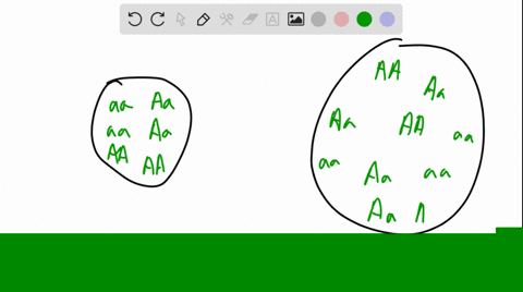 why-is-a-small-isolated-population-more-likely-to-undergo-speciation-than-a-large-one