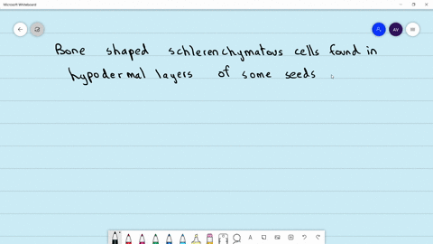 bone-shaped-sclerenchymatous-cells-found-in-hypodermal-layers-of-some-seeds-and-fruits-are-called-a-