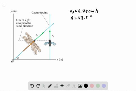 bio-motion-camouflage-in-dragonflies-dragonflies-whose-ancestors-were-once-the-size-of-hawks-have-pr