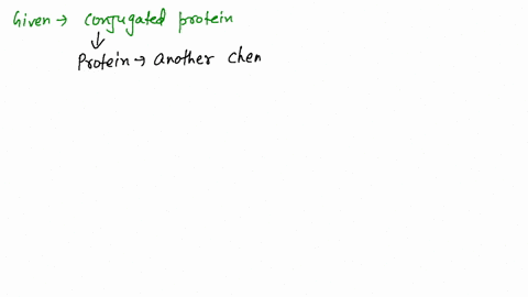what-is-a-conjugated-protein-give-an-example