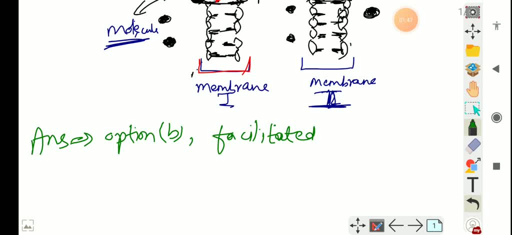 SOLVED:Refer The Given Figure. What Does It Represent ? (a) Simple ...