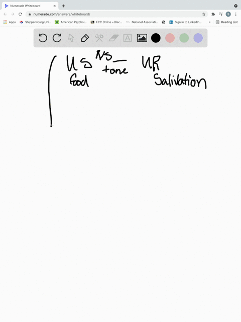 salivating-in-response-to-a-tone-paired-with-food-is-a-an-_____-pressing-a-bar-to-obtain-food-is-a-a
