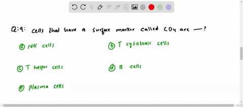 cells-that-have-a-surface-marker-called-mathrmcd-4-are-a-mathrmnk-cells-b-t-cytotoxic-cells-c-t-help