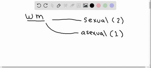 water-molds-reproduce-asexually-by-forming-_____-and-sexually-by-forming-_____-a-oospores-holdfasts-