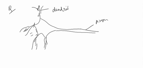label-the-diagram-use-figure-39-2-to-check-your-answers