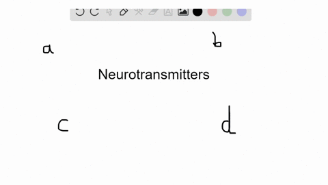 this-neurotransmitter-plays-an-important-role-in-sleeping-emotions-and-perception-a-dopamine-b-ace-2