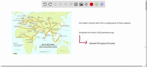 the-out-of-africa-hypothesis-suggests-a-multiple-origins-for-modern-humans-b-that-cro-magnons-outcom