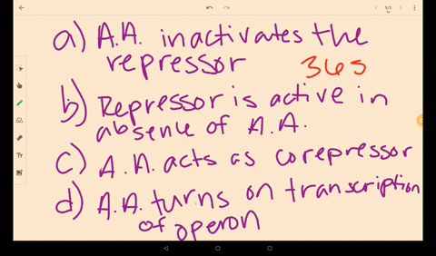 if-a-particular-operon-encodes-enzymes-for-making-an-essential-amino-acid-and-is-regulated-like-th-3
