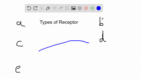 an-internal-receptor-binds-both-a-signal-molecule-and-controlling-region-of-a-gene-what-type-of-re-3