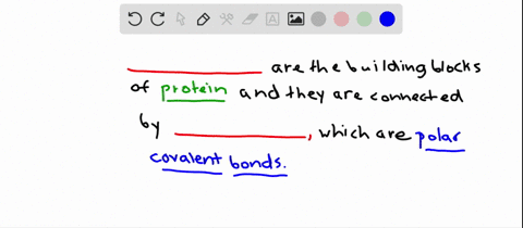 the-monomers-of-proteins-are-_________-and-these-are-linked-by-polar-covalent-bonds-commonly-referre