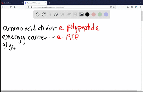 match-each-molecule-with-its-most-suitable-description-text-chain-of-amino-acids-quad-quadquadquadqu