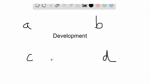identify-the-stage-of-embryonic-development-in-the-key-that-matches-the-description-a-cleavage-b-gas